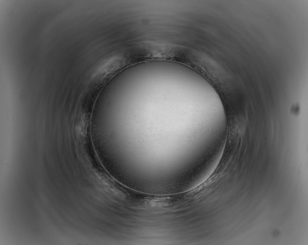 X0000098120078200804041417
