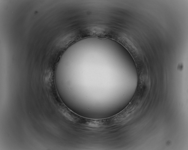 X0000098120079200804041417