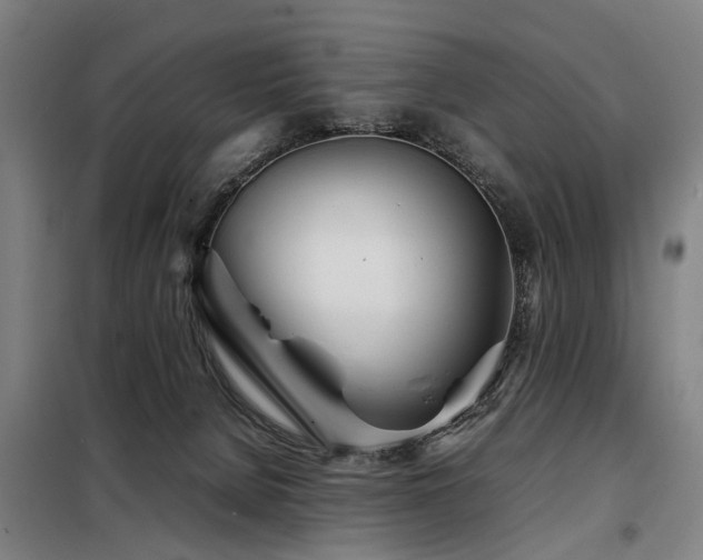 X0000098120080200804041417