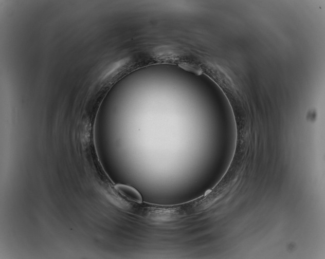 X0000098120081200804041417