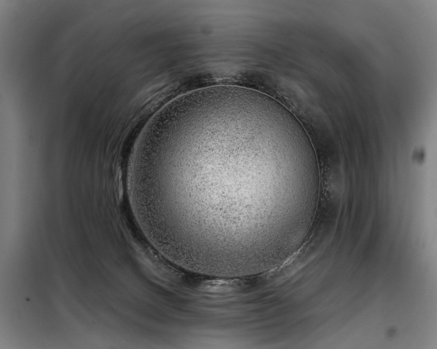 X0000098120082200804041417