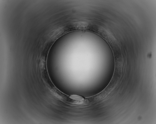 X0000098120083200804041417