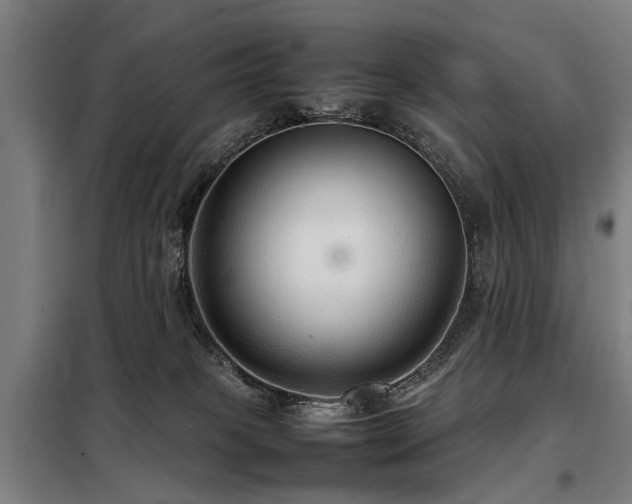 X0000098120085200804041417