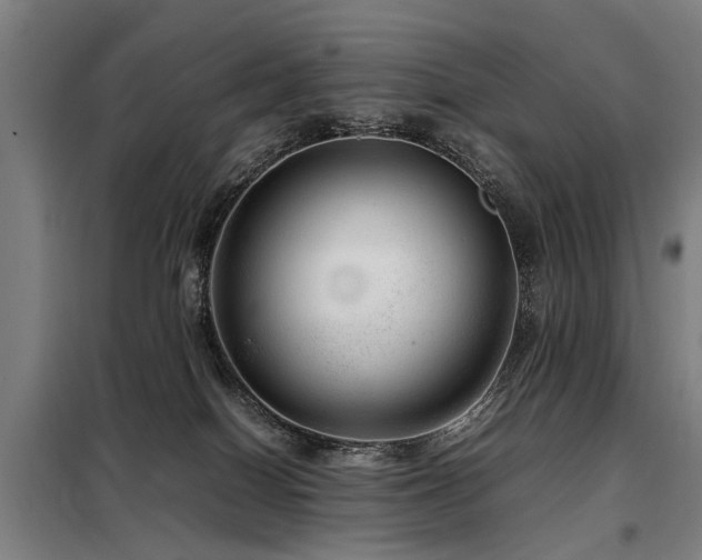 X0000098120086200804041417