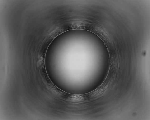 X0000098120087200804041417