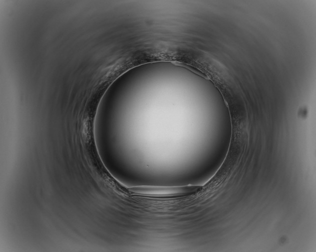 X0000098120088200804041417