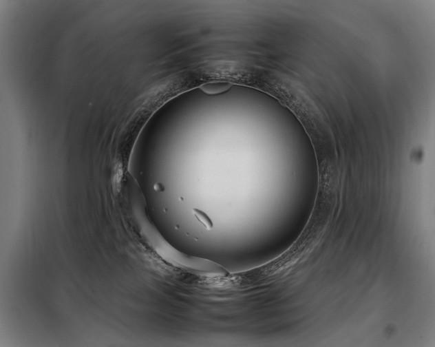 X0000098120089200804041417