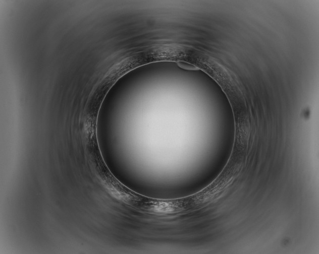 X0000098120091200804041417