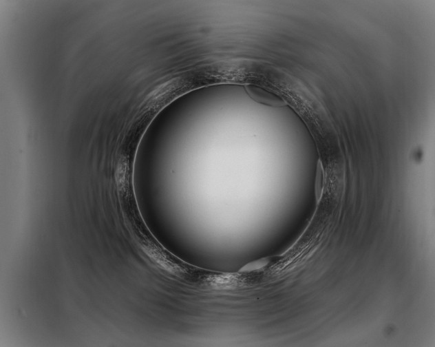 X0000098120092200804041417