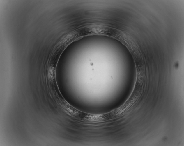 X0000098120093200804041417