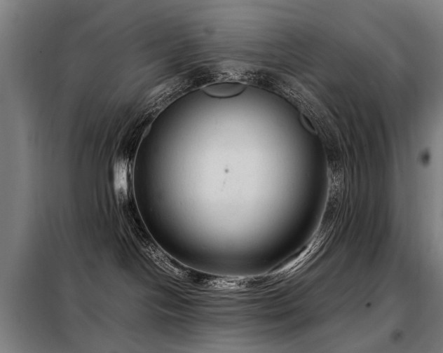 X0000098120094200804041417