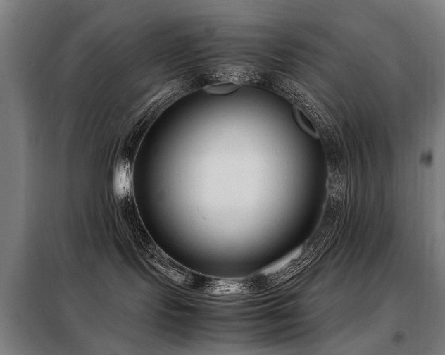 X0000098120095200804041417