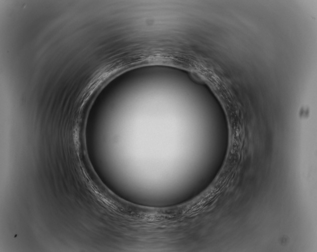 X0000098120098200804041417