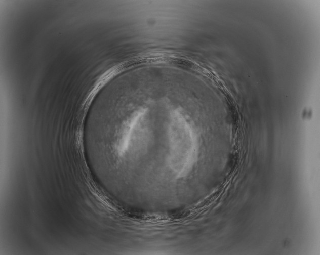 X0000098120099200804041417
