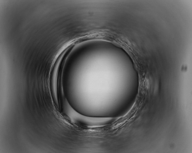 X0000098120100200804041417