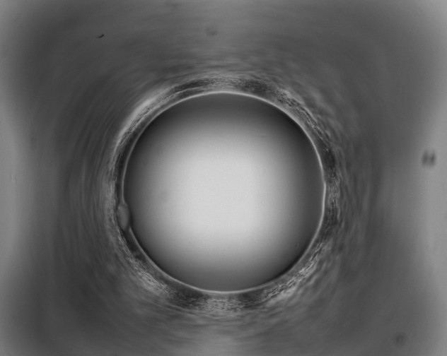 X0000098120101200804041417
