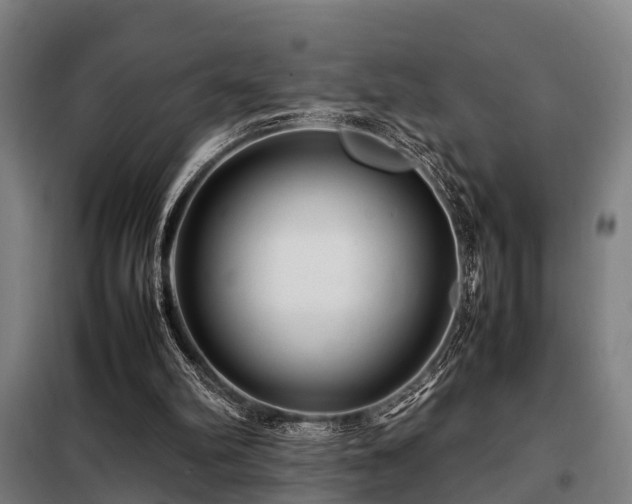 X0000098120102200804041417