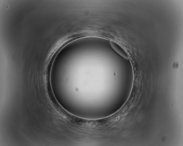 X0000098120103200804041417
