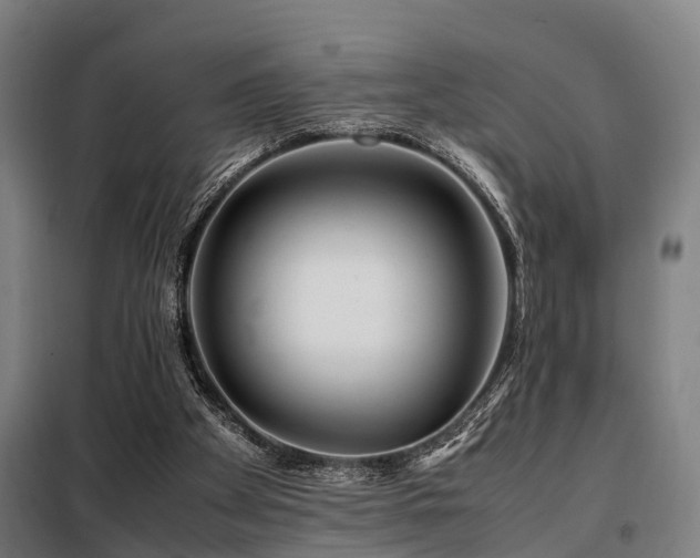 X0000098120105200804041417
