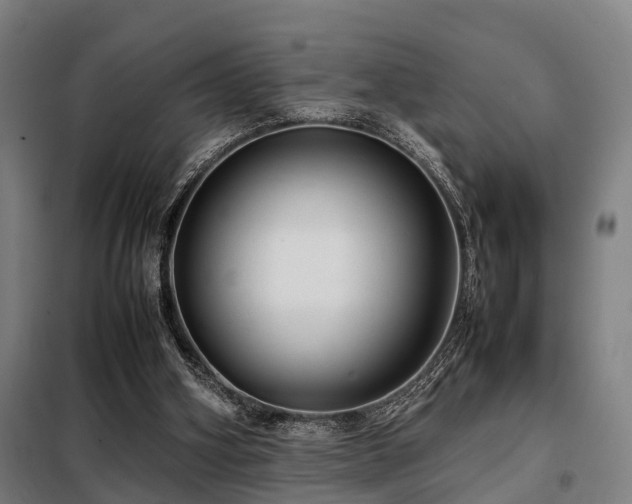 X0000098120106200804041417