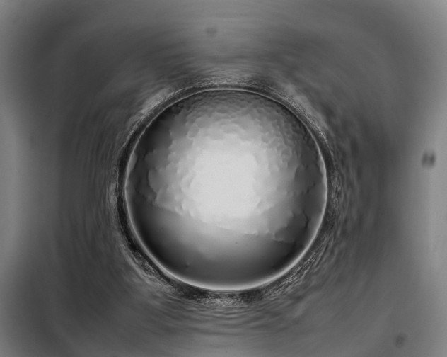 X0000098120107200804041417