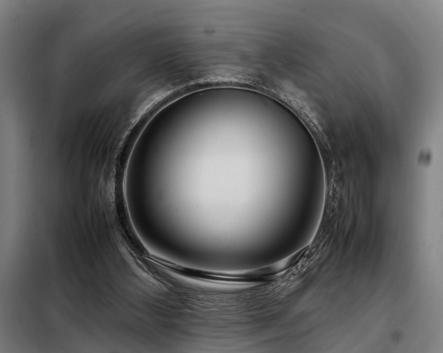 X0000098120108200804041417