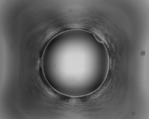 X0000098120109200804041417
