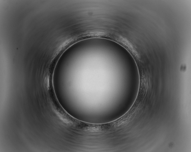 X0000098120110200804041417