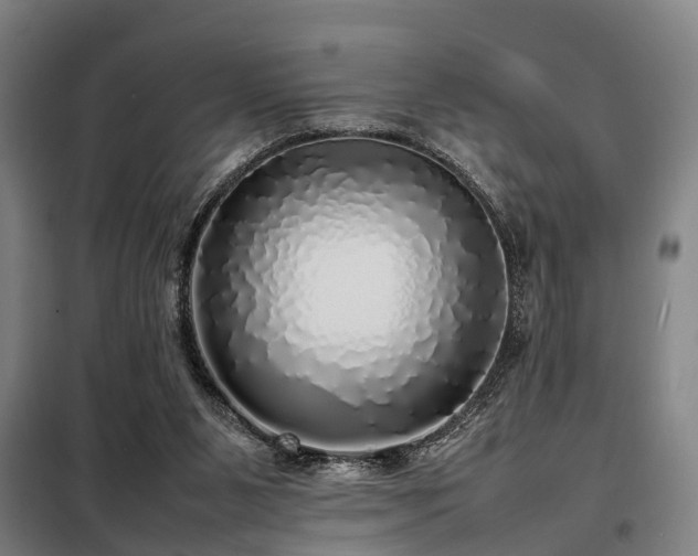 X0000098120111200804041417