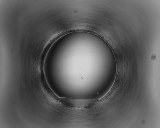 X0000098120112200804041417