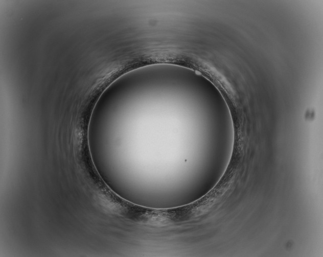 X0000098120113200804041417