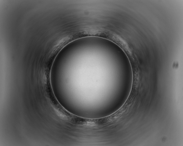 X0000098120114200804041417