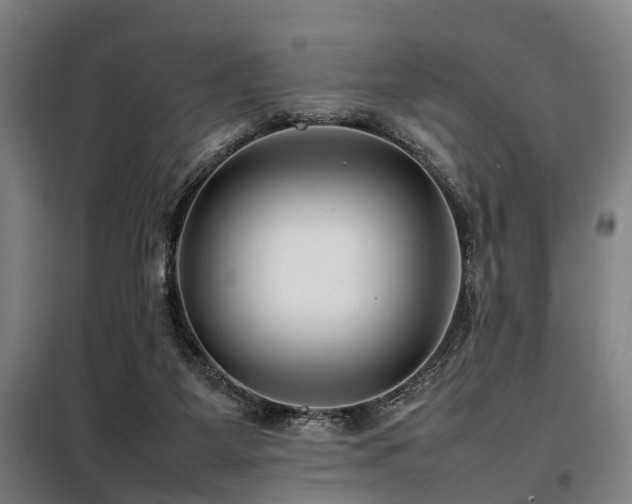 X0000098120115200804041417