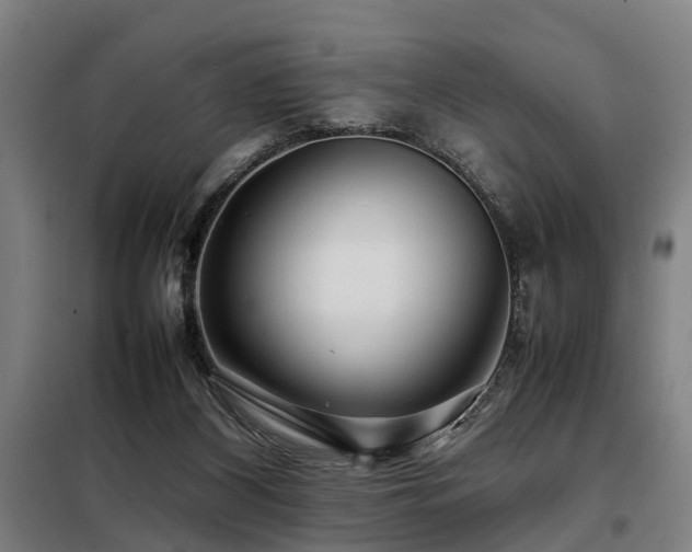 X0000098120116200804041417