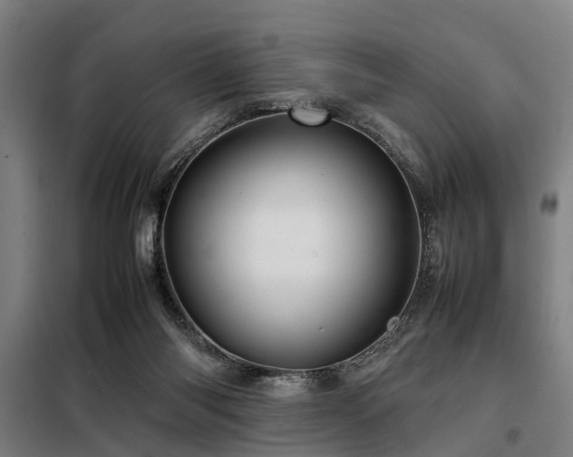 X0000098120118200804041417