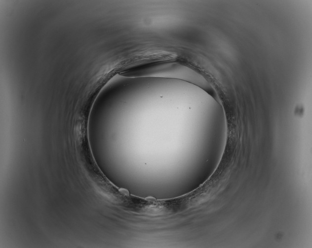 X0000098120119200804041417