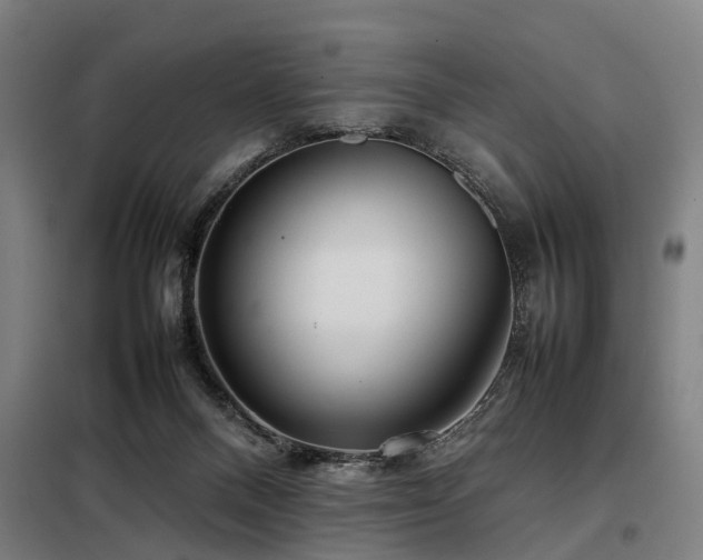 X0000098120120200804041417