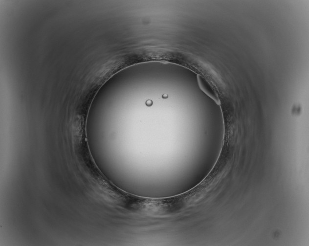 X0000098120121200804041417