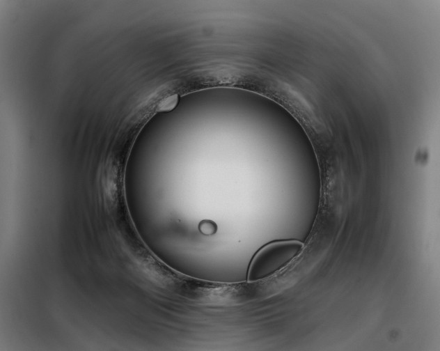X0000098120122200804041416