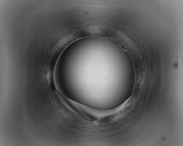 X0000098120124200804041416