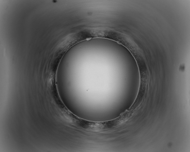 X0000098120125200804041416