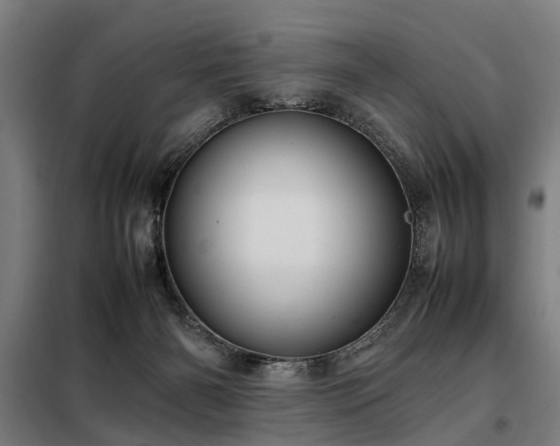 X0000098120126200804041416