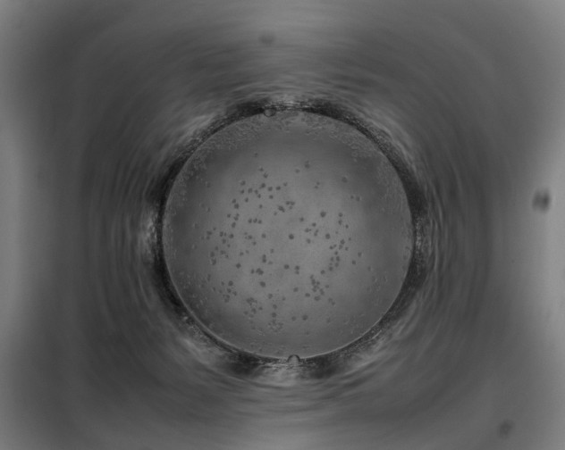 X0000098120127200804041416