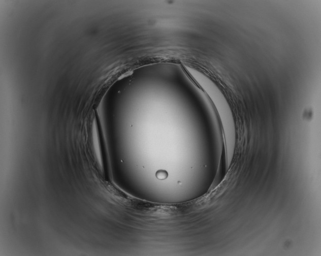 X0000098120128200804041416