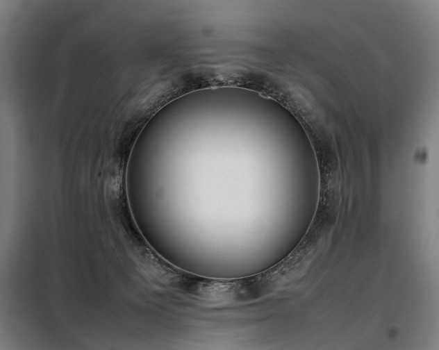 X0000098120129200804041416