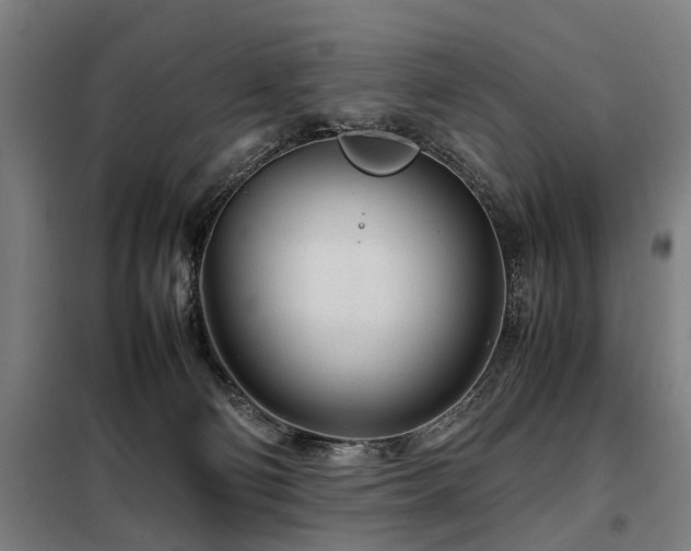 X0000098120130200804041416