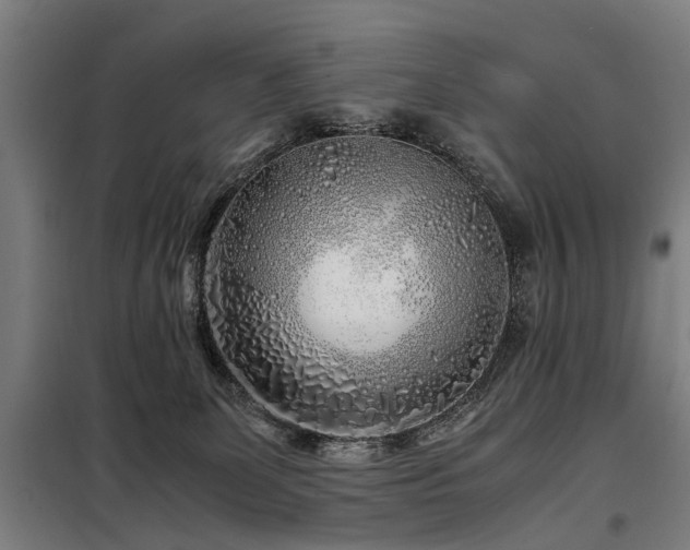 X0000098120131200804041416