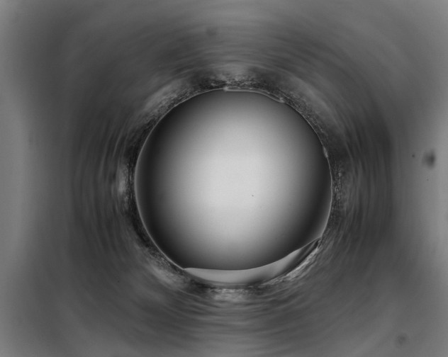 X0000098120132200804041416