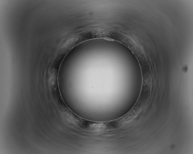 X0000098120133200804041416
