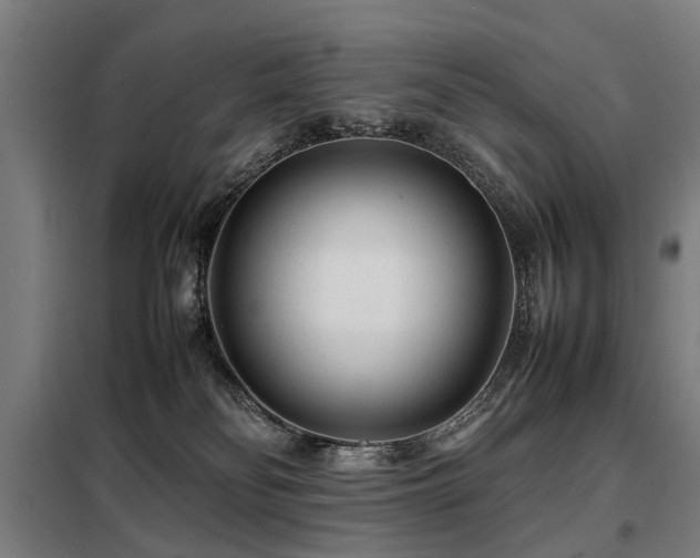 X0000098120134200804041416